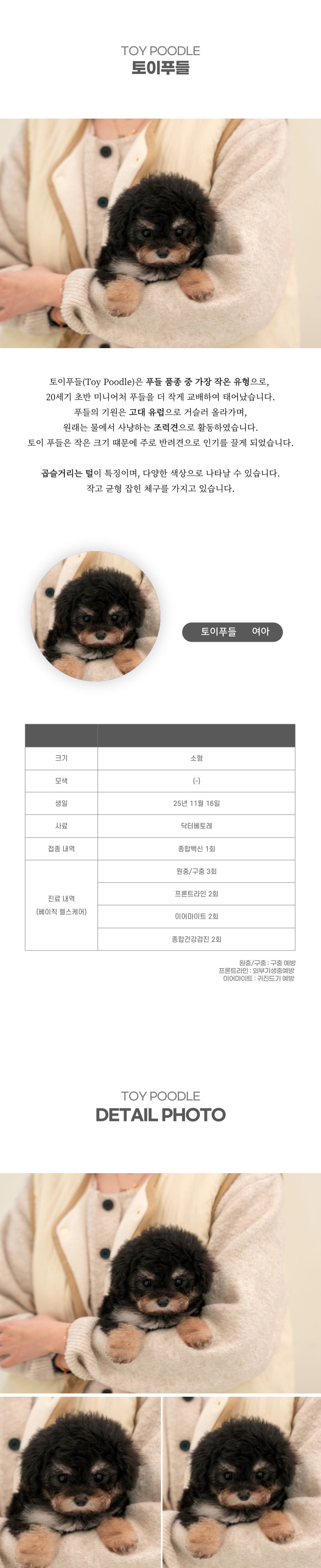 토이푸들_상세이미지_2